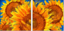 256376669
