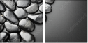 25876138