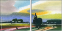 25941666