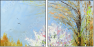 26973707