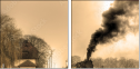 29517510