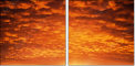 29892519