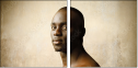 30516382