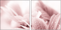 31030439