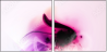 31395557