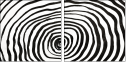 324703304
