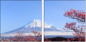 32966670