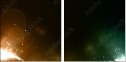 33007658