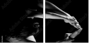 35216204