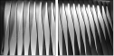 35619001