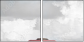 36348049