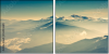 36423660