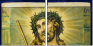 36632692