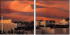 37617124