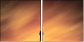 38051708
