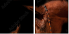 38086864