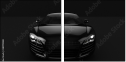 38999588