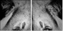 39012933