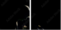 39076557