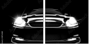 39752281