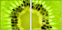 39788047