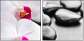 40051892