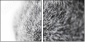 41365560