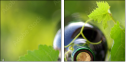 4185786