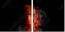42055201