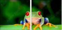 42467641