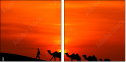 42832651