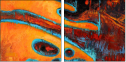 42949973
