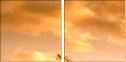 42979292