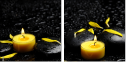 43880281
