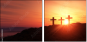 44589020