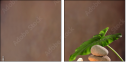 44772824