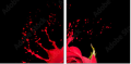 45070058