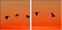 45440307
