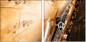 45515921
