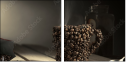 45539882