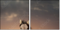 46097266
