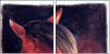 46243808