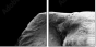 46583459