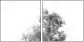 47020348