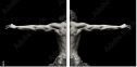 47804605