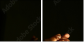 480774