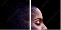 48449228