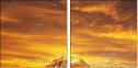48905885