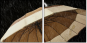 49306047