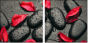 49357610